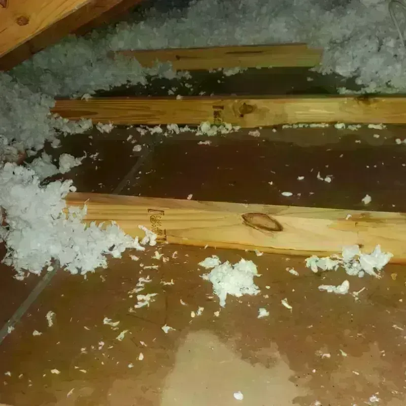 Attic Water Damage in Lakeside, FL