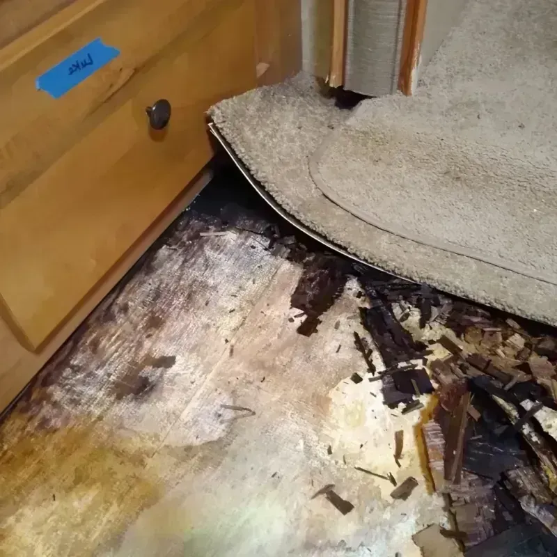 Wood Floor Water Damage in Lakeside, FL